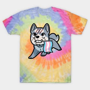 Ginga Trans Pride T-Shirt